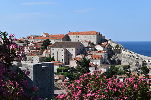 Dubrovnik behind the oleander