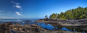 Botanical Beach