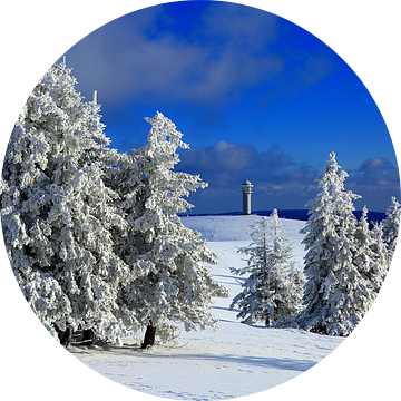 Sneeuwbomen op de Felberg van Patrick Lohmüller