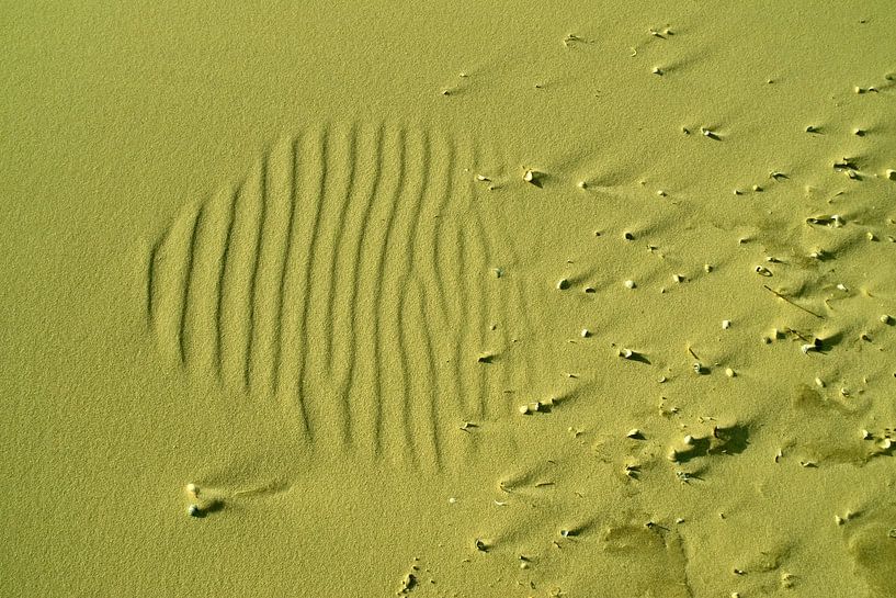 Schuhabdruck im Sand  von Langeoog Ostfriesland Deutschland Germany von Karl-Heinz Petersitzke