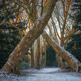 Schlosspark Herten, Noordrijn-Westfalen, Duitsland van Alexander Ludwig