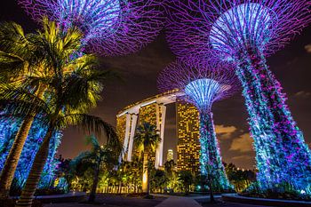 Singapore By Night - Gardens by the Bay