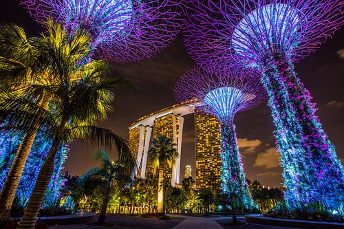 Singapur bei Nacht - Gardens by the Bay von Thomas van der Willik