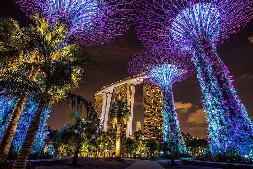 Singapore By Night - Gardens by the Bay by Thomas van der Willik