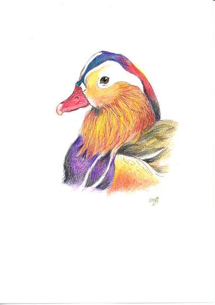 Mandarin-duck by Marian van der Veen-Niemeijer