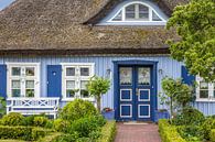 Schönes blaues Reetdachhaus in Zingst von Christian Müringer Miniaturansicht