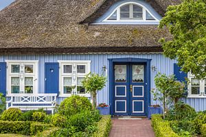 Schönes blaues Reetdachhaus in Zingst