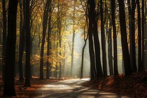 To the right... von Martin Podt