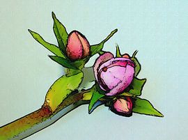 Flower Buds by Jose Lok