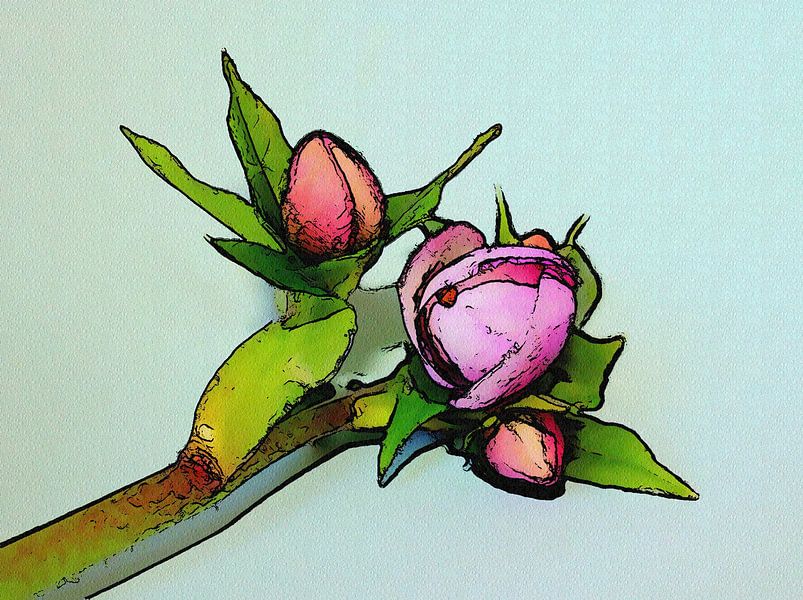 Bloemknoppen van Jose Lok