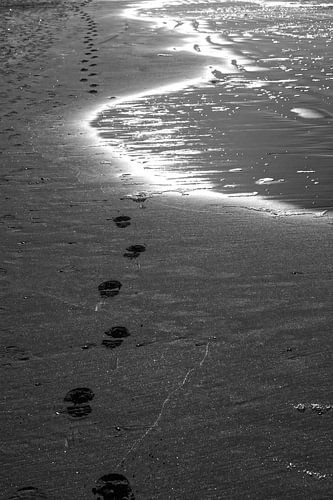 langs de vloedlijn van Hans Lok
