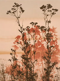 Wilde bloemen in warm terracotta van Thea