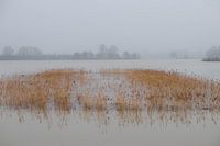 Unterwasser