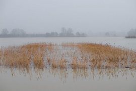 Sous l'eau sur Gerrit van Leeuwen