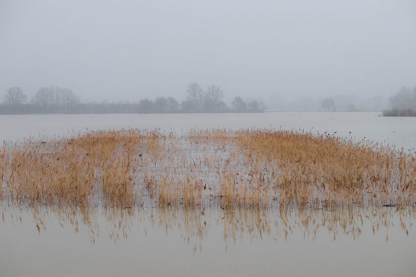 Sous l'eau par Gerrit van Leeuwen
