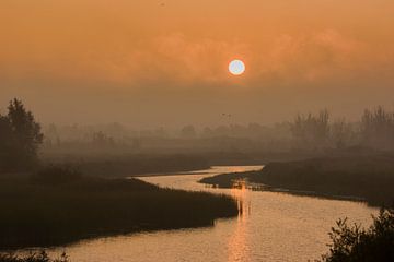 zonsopkomst op Noorderplassen vanaf de dijk van Bianca Fortuin