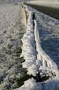 snowy barbed wire by EnWout thumbnail