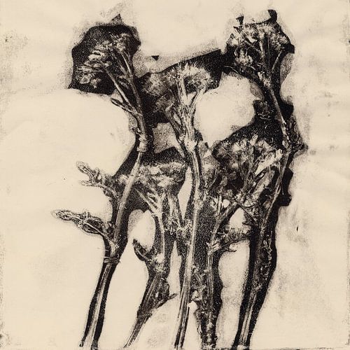 Vintage botanische prints. Zomerbloemen II.