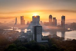Goedemorgen Rotterdam van Quirien Marijs