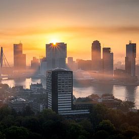 Guten Morgen Rotterdam von Quirien Marijs