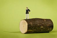 captain's log by Remko Killaars thumbnail