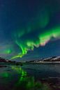 Nordpolarlicht der Aurora im nächtlichen Himmel über Nordnorwegen von Sjoerd van der Wal Fotografie Miniaturansicht