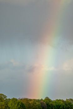 Kleurensymfonie aan de Horizon regenboog