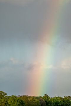 Kleurensymfonie aan de Horizon - regenboog van Femke Ketelaar