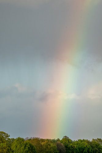 Kleurensymfonie aan de Horizon regenboog