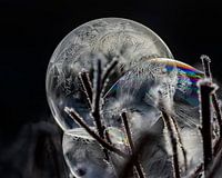 With frost colors fade