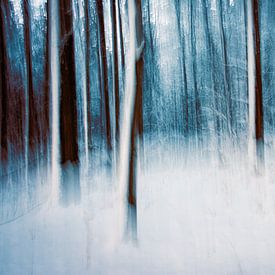 Fairytale winter forest by Nicc Koch