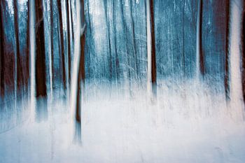 Fairytale winter forest