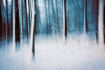 Sprookjesachtig winterbos van Nicc Koch