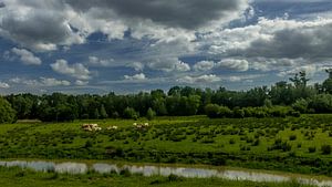 Wiesenlandschaft unter holländischem Wolkenhimmel von Ronald Massink