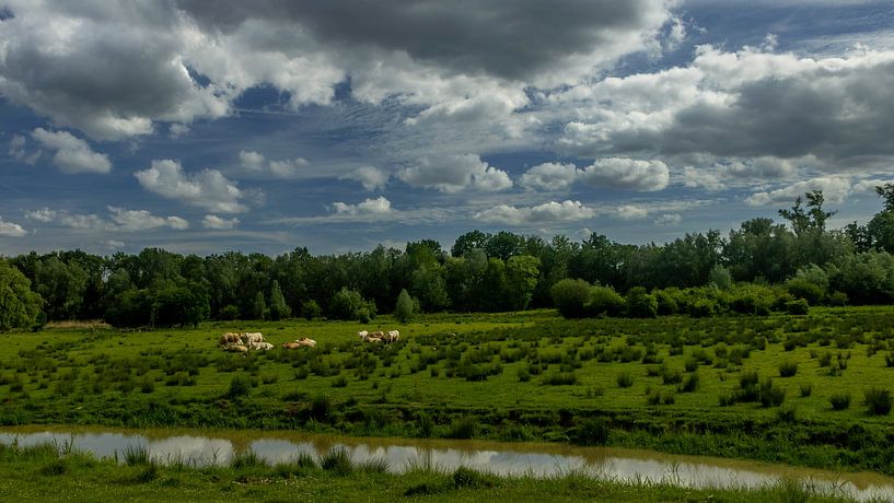 Weidelandschap Onder Hollandse Wolkenlucht van Ronald Massink