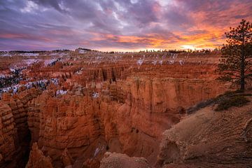 Sunset at Bryce by Martin Podt