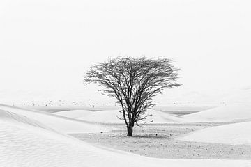 Eenzame boom in de woestijn van Photolovers reisfotografie