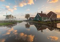 The Cheese Farm