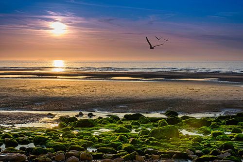 Zonsondergang aan de Opaalkust, Frankrijk