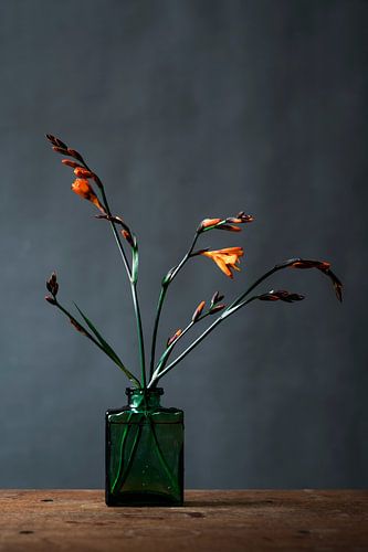 Orangene Blume in Vase