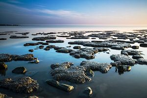 Wadden Sea. sur AGAMI Photo Agency