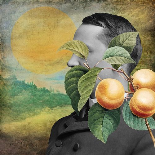 Postcards from the Garden