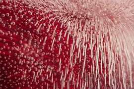 Abstracte fotografie: Van bubbel tot lijn van Marjolijn van den Berg