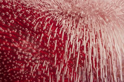 Abstrakte Fotografie: Von der Blase zur Linie von Marjolijn van den Berg