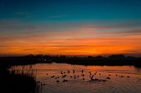 Zonsondergang in de  Krimpenerwaard