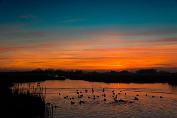 Sunset in the Dutch polder.