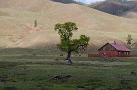 winkel in de steppe von Robert Lotman