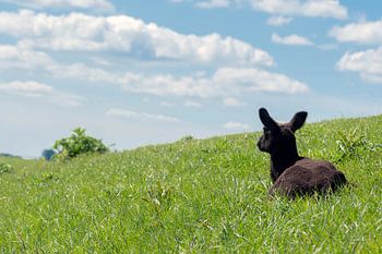 Unbeschwert in die Zukunft blicken