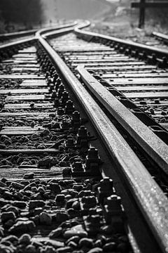 Rails by Rob Boon