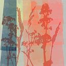 Moderne abstrakte botanische Kunst in Pastellfarben. Koralle, Neon-Pink, Blau von Dina Dankers Miniaturansicht